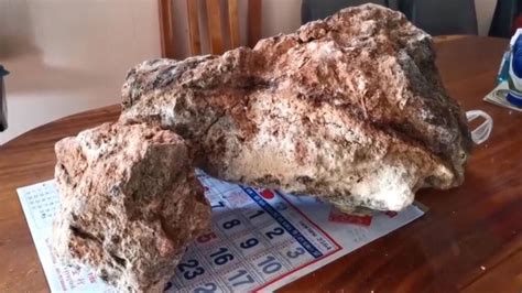 'Whale vomit' windfall could net Thai fisherman up to .
